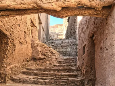 Alles wat je weten wilt - Holidream